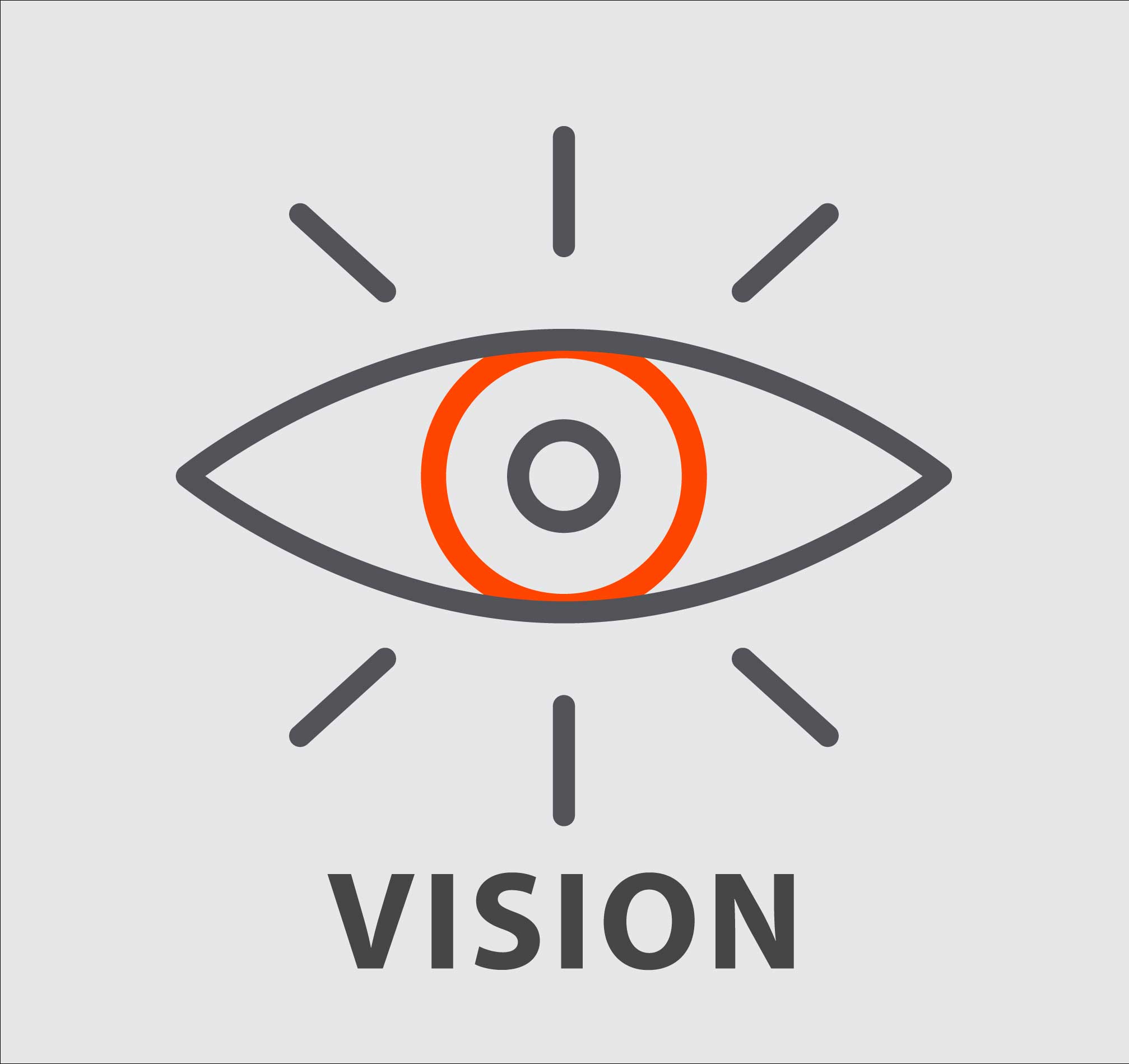 Vision statement graphic